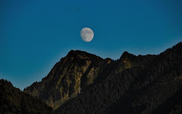 最有可能知你冷暖，也懂你悲欢的3大星座