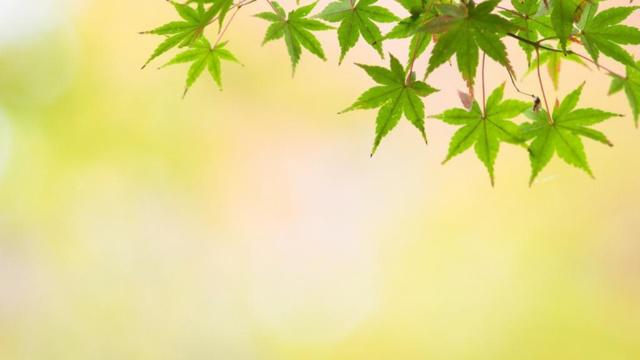 什么都要给你，爱的最强硬的星座！