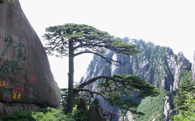 康熙的宜妃八字命理分析