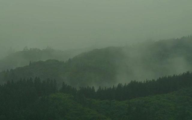 喜马拉雅讲风水能赚钱吗