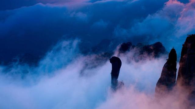 风水上家里种竹子可以吗