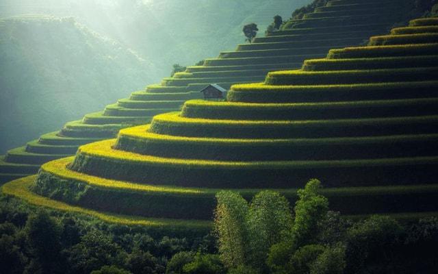 只要喂鱼就要考虑风水吗