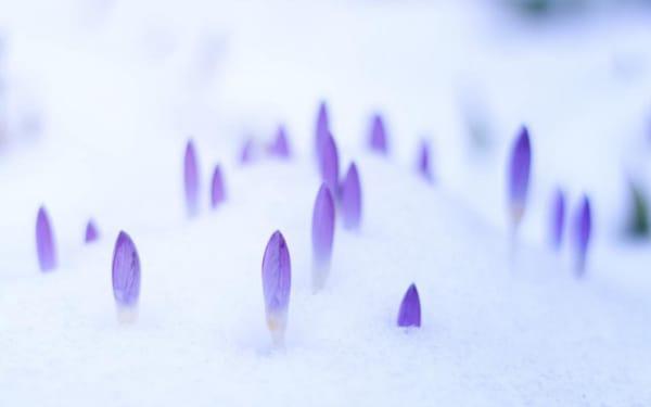 这四大生肖总是絮絮叨叨特别啰嗦