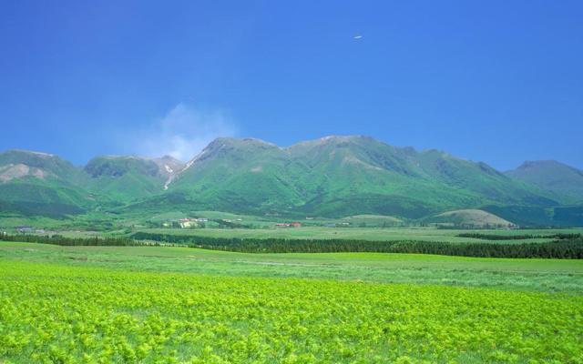 惨就一个字 感情当中容易被出轨的生肖