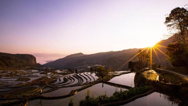 天涯论坛八字命理