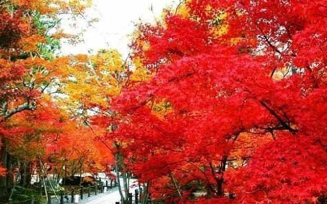 玉溪东风水库能打路亚吗