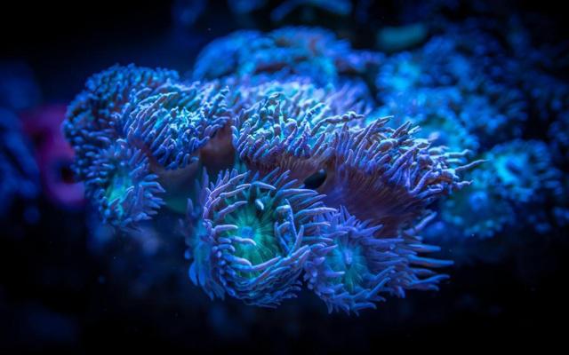 炉中火命和山涧水命相克吗
