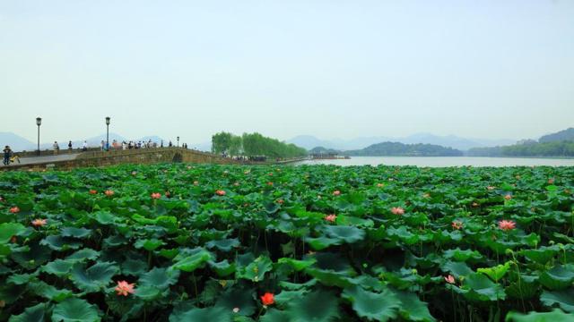 八字没有正财是啥意思女命