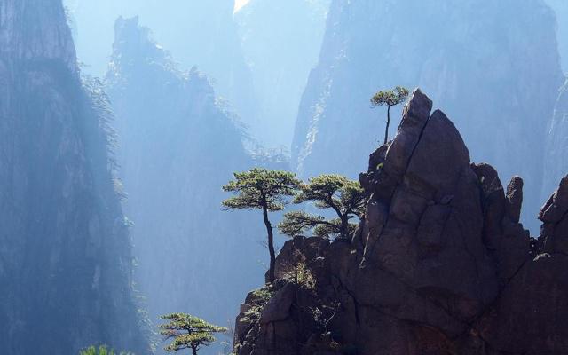 八字沐浴就是败地