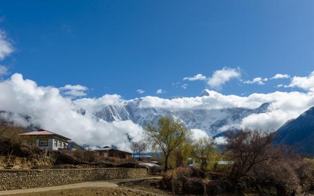 就算一败涂地，也要涅槃重生的3大星座，不懂屈服，倔强到极致
