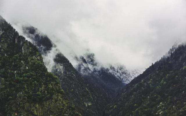 喜欢在阴雨天出门逛街的生肖