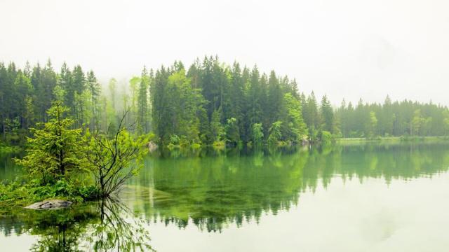属蛇生肖吉祥号码怎么选 成龙成凤越老越富