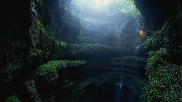 家里风水适合养散尾葵吗