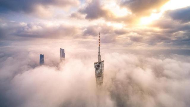 2025蛇年最旺的四个属相 收获颇丰的生肖