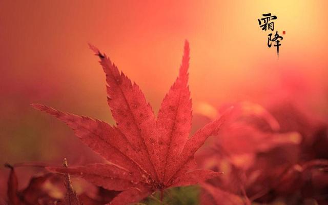 最喜欢逞强的3大星座，好面，在乎形象，就算受了伤，也不认输