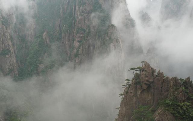 风水对盆栽有要求吗